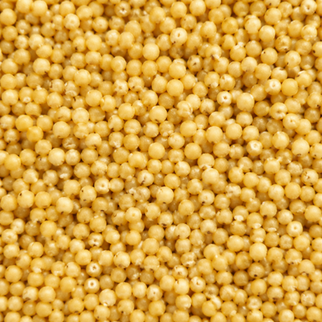 infinity foods bulk organic millet — extreme macro hero