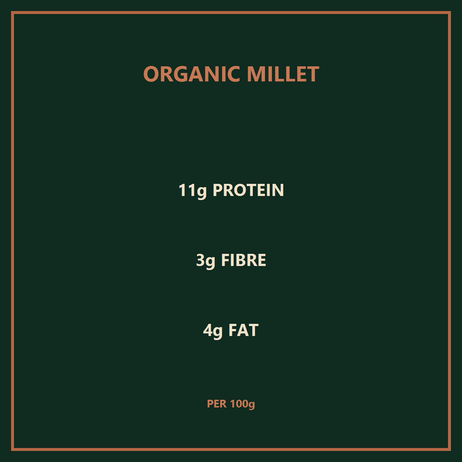 infinity foods bulk organic millet — nutrition benefits