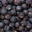Infinity Foods Organic Juniper Berries — extreme close-up