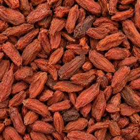 Dried goji berries extreme close-up