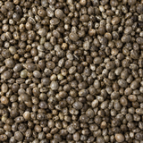 Organic whole hemp seeds extreme close-up
