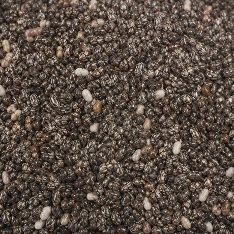 Close-up of dry chia seeds