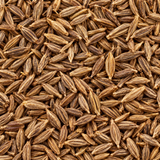 Infinity Foods Organic Cumin Seed close-up