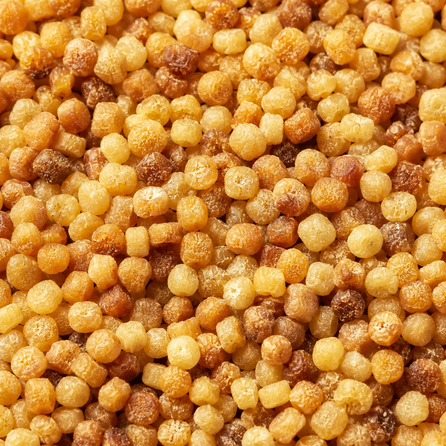 Infinity Organic Fregola (Giant Cous Cous) — extreme close-up