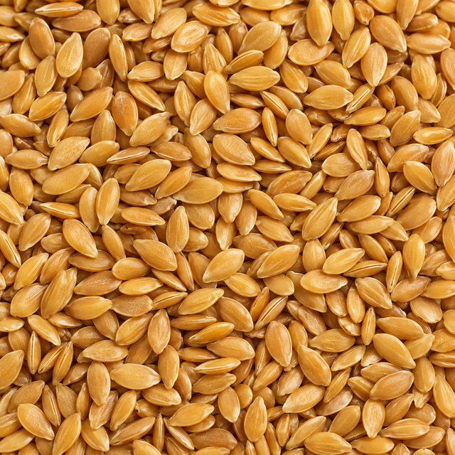 Infinity Foods Organic Golden Linseed — close-up