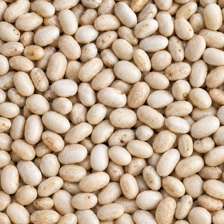 Infinity Foods Organic Haricot Beans close-up