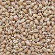 Infinity Foods Organic Pearl Barley macro