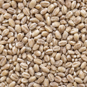 Infinity Foods Organic Pearl Barley macro