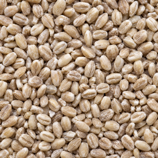 Infinity Foods Organic Pearl Barley macro