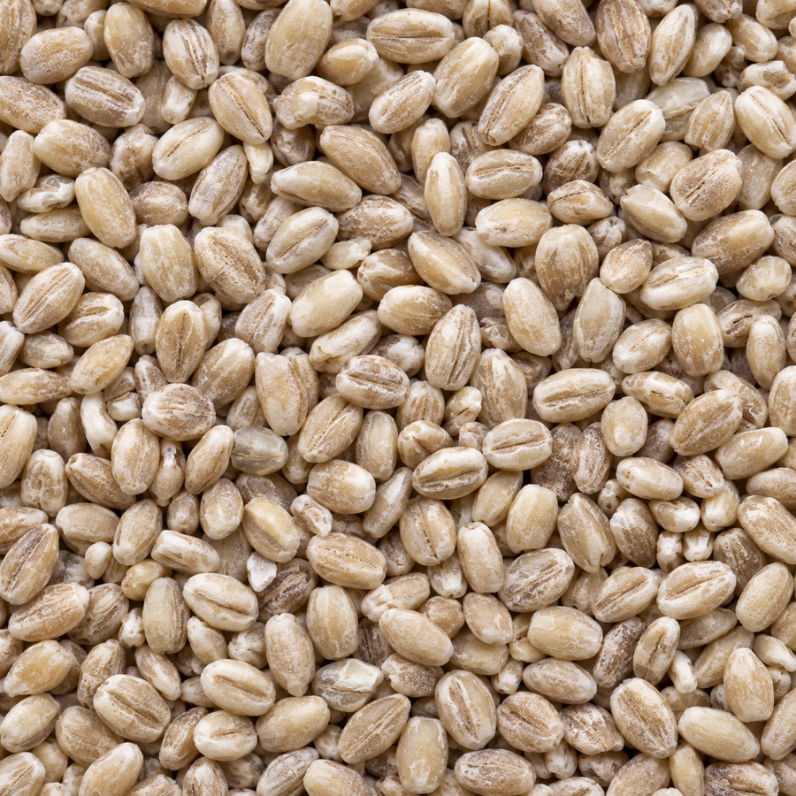 Infinity Foods Organic Pearl Barley macro
