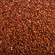 Organic red quinoa grain extreme close-up