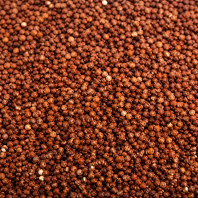 Organic red quinoa grain extreme close-up