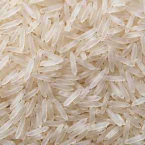 Organic jasmine rice extreme close-up