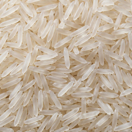 Organic jasmine rice extreme close-up