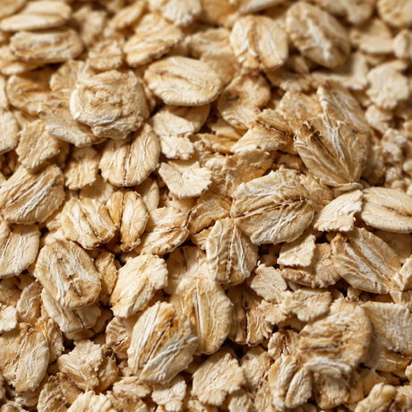 Organic jumbo oats extreme close-up