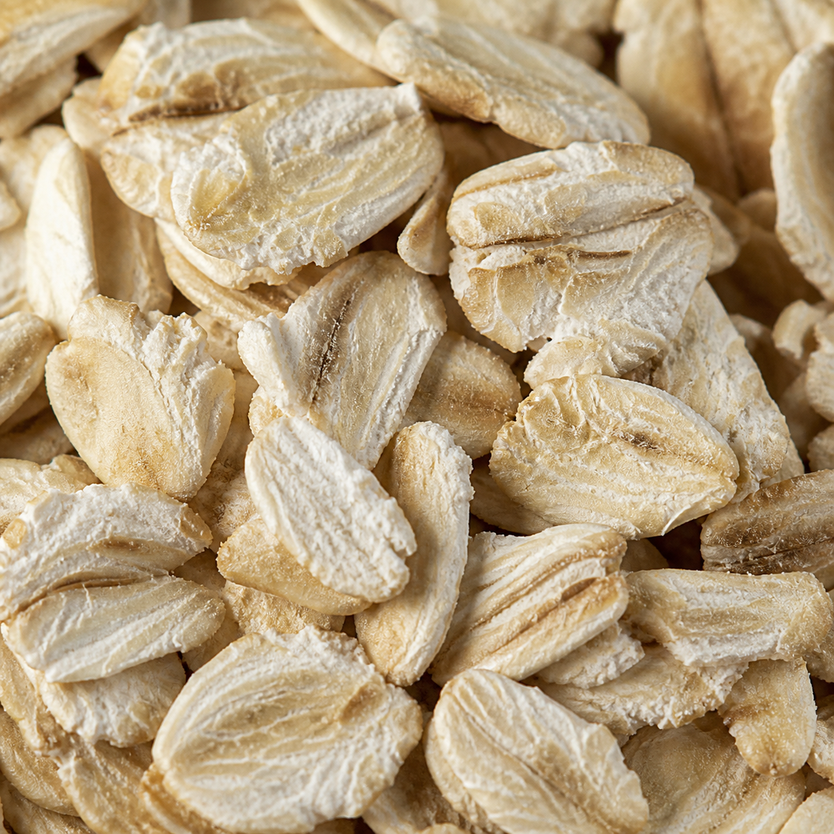 Jumbo Porridge Oats extreme close-up