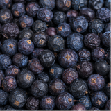 Juniper berries extreme close-up