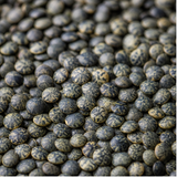 Organic French type lentils extreme close-up