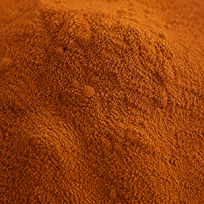 Organic Mixed Spice macro hero