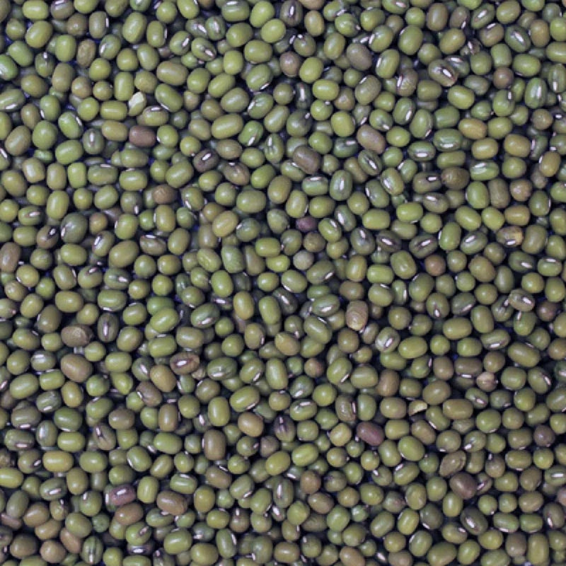 Organic Mung Beans