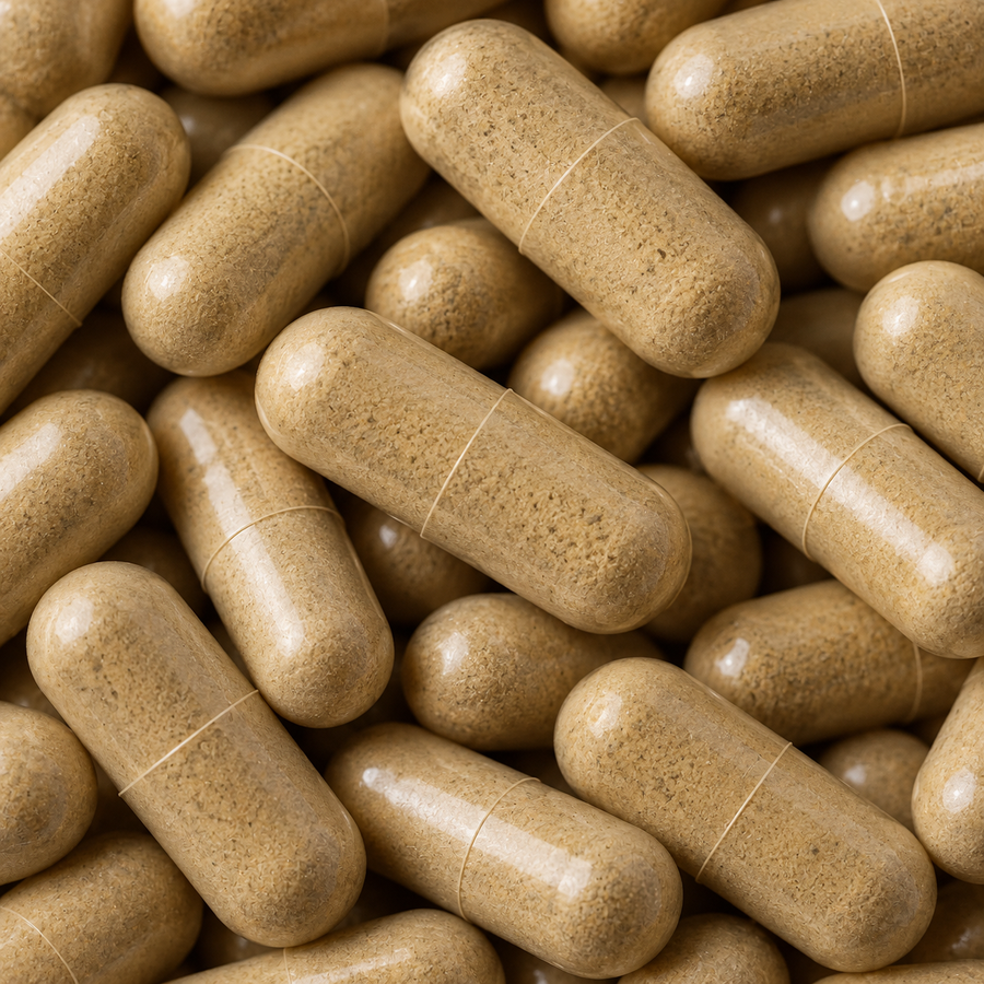 NUVITOX Lion's Mane capsules close-up