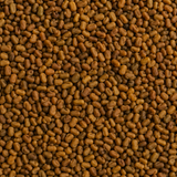 Organic Alfalfa Seeds — ingredient-only macro hero