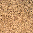 Organic Amaranth Grain - extreme close-up