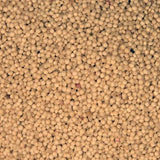 Organic Amaranth Grain - extreme close-up