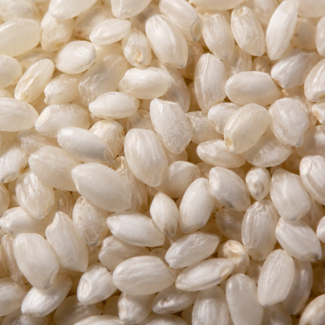 Organic Arborio Rice – extreme close-up product hero