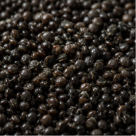 Organic black beluga lentils close-up