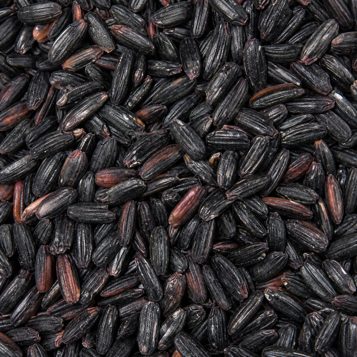 Extreme close-up of organic black rice