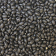Organic Black Turtle Beans — extreme close-up