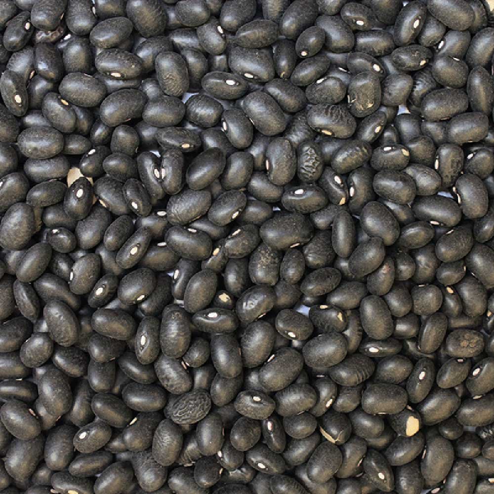 Organic Black Turtle Beans — extreme close-up