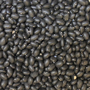 Organic Black Turtle Beans — extreme close-up