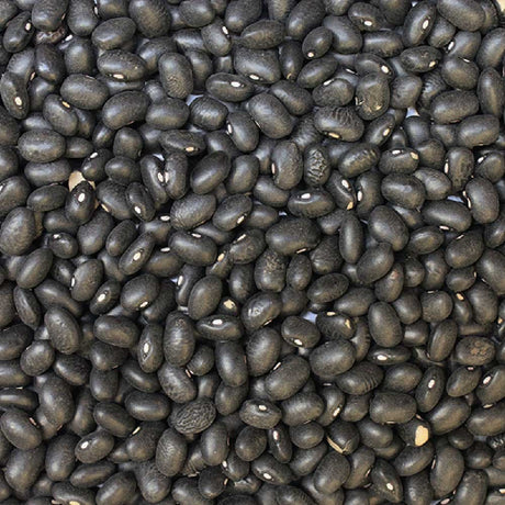 Organic Black Turtle Beans — extreme close-up