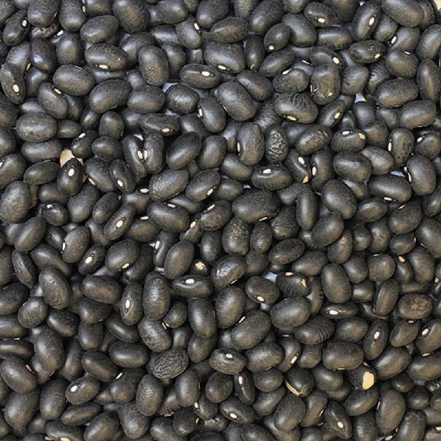 Organic Black Turtle Beans — extreme close-up