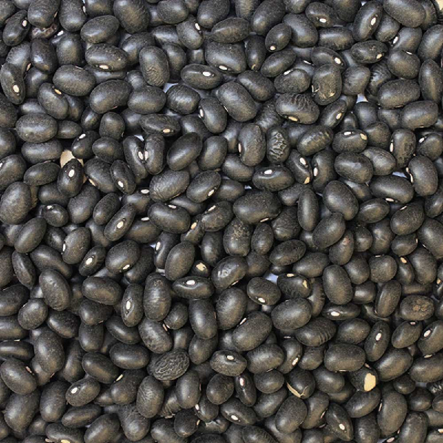 Organic Black Turtle Beans — extreme close-up