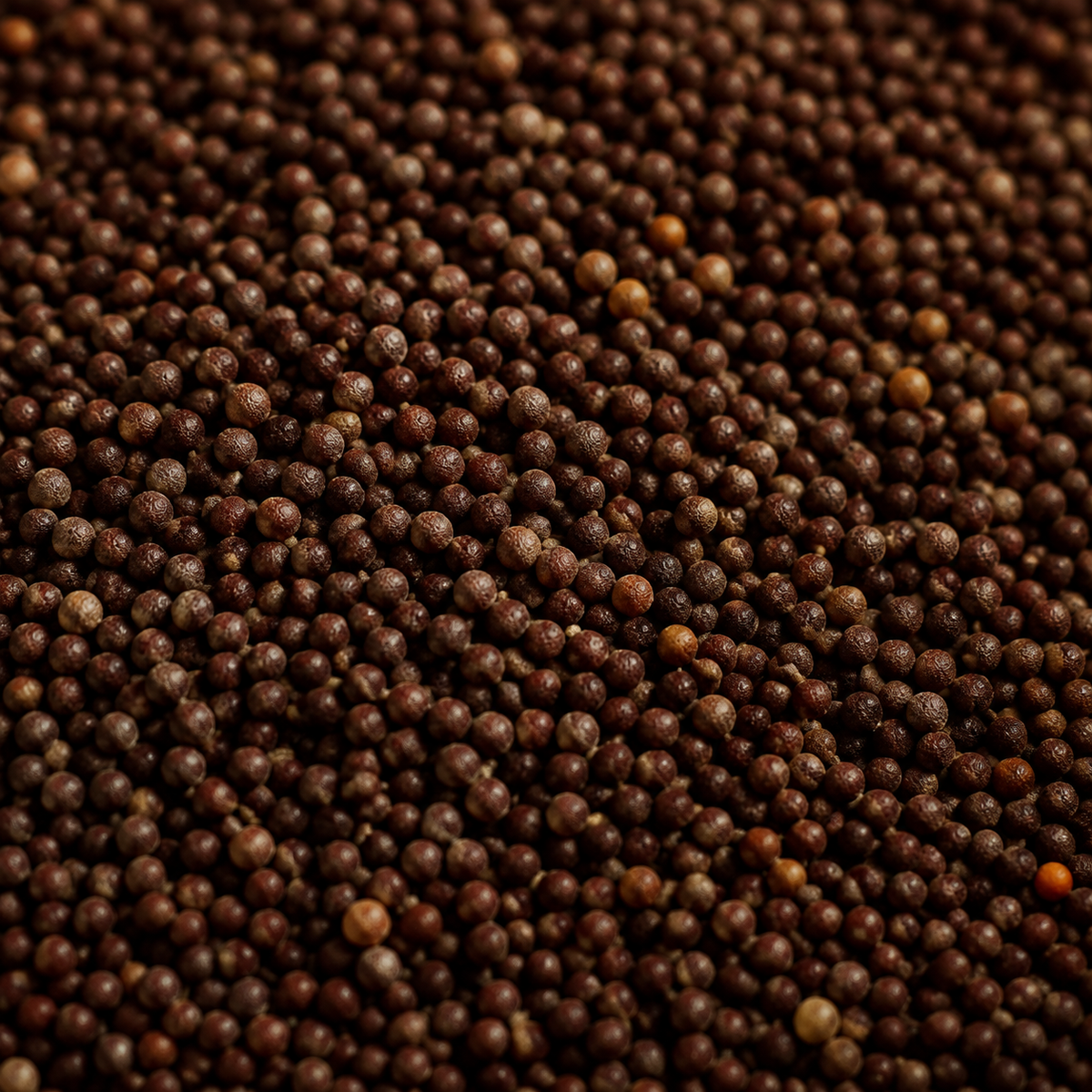 Organic Brown Mustard Seeds — macro hero
