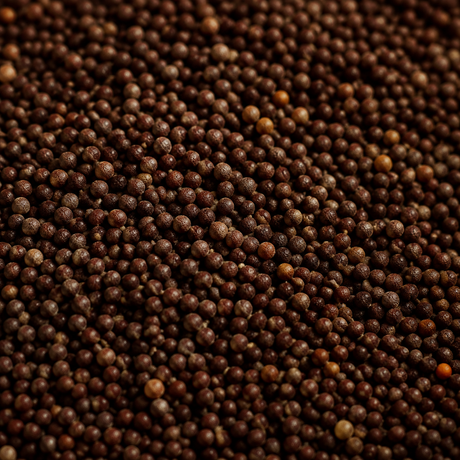 Organic Brown Mustard Seeds — macro hero