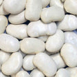 Organic Butter Beans – extreme close-up product hero