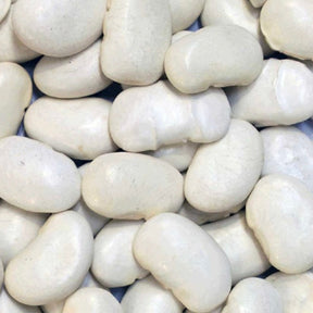 Organic Butter Beans – extreme close-up product hero