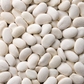 Organic butter beans extreme close-up