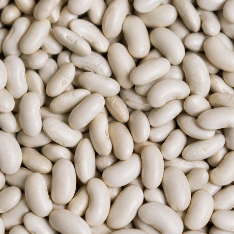 Organic cannellini beans extreme close-up