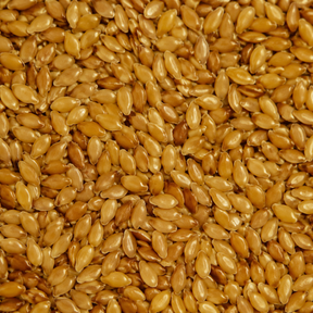 Organic golden flaxseed extreme close-up