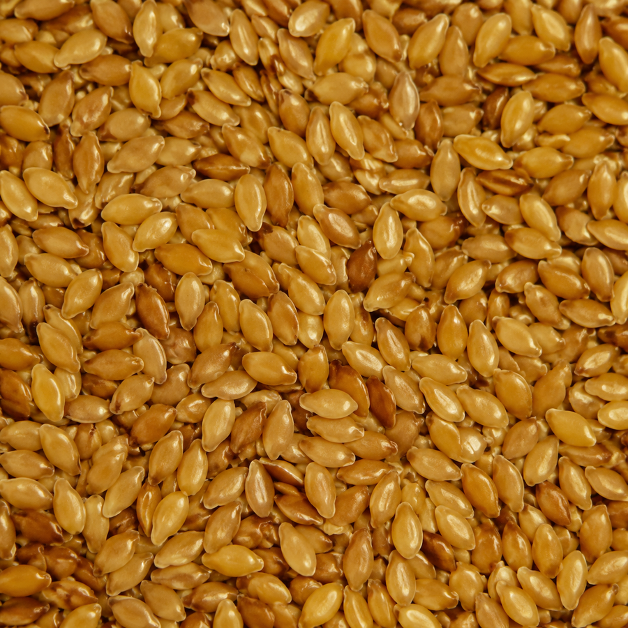Organic golden flaxseed extreme close-up