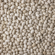 Extreme close-up of organic dry haricot beans