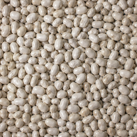 Extreme close-up of organic dry haricot beans