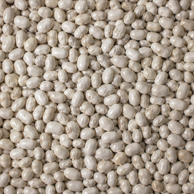 Extreme close-up of organic dry haricot beans