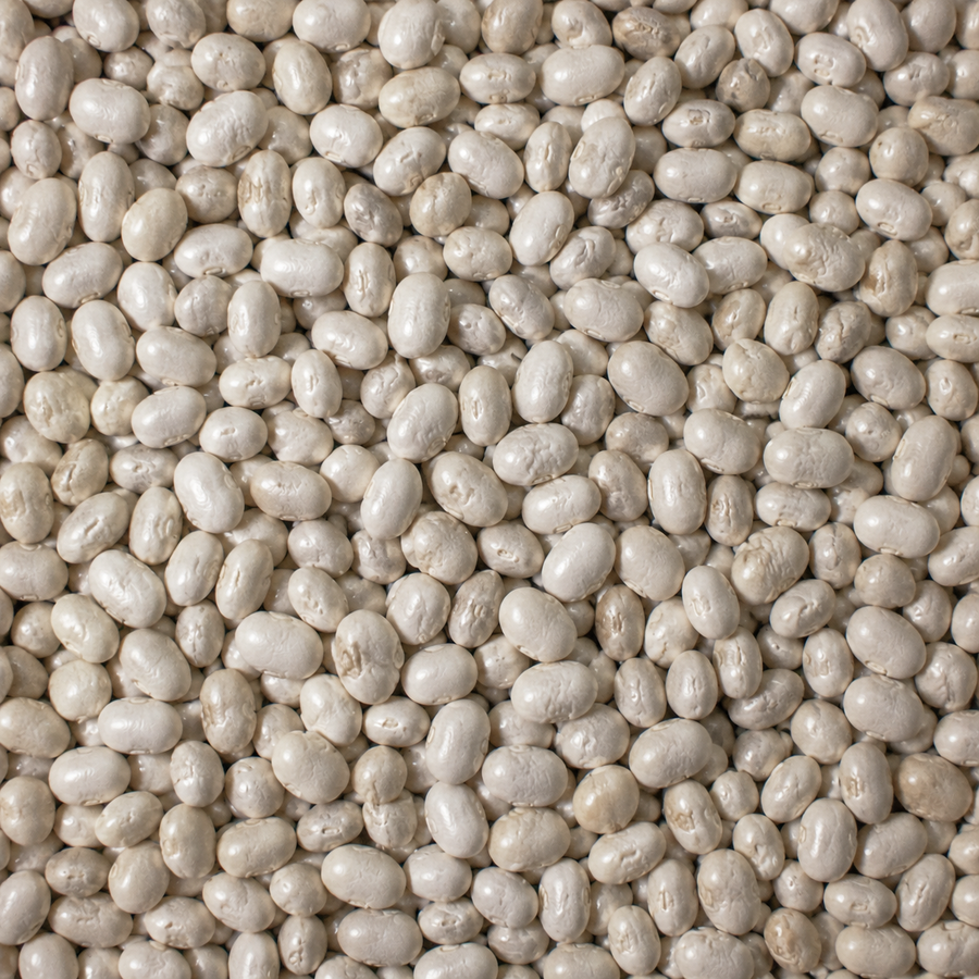 Extreme close-up of organic dry haricot beans