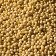Organic Millet — ingredient close-up